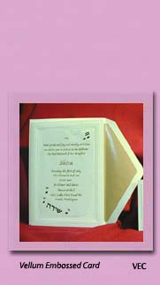 Bat Mitzvah Invitations VELLUM EMBOSSED CARD