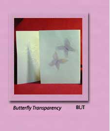 Bat Mitzvah Invitations BUTTERFLY TRANSPARENCY